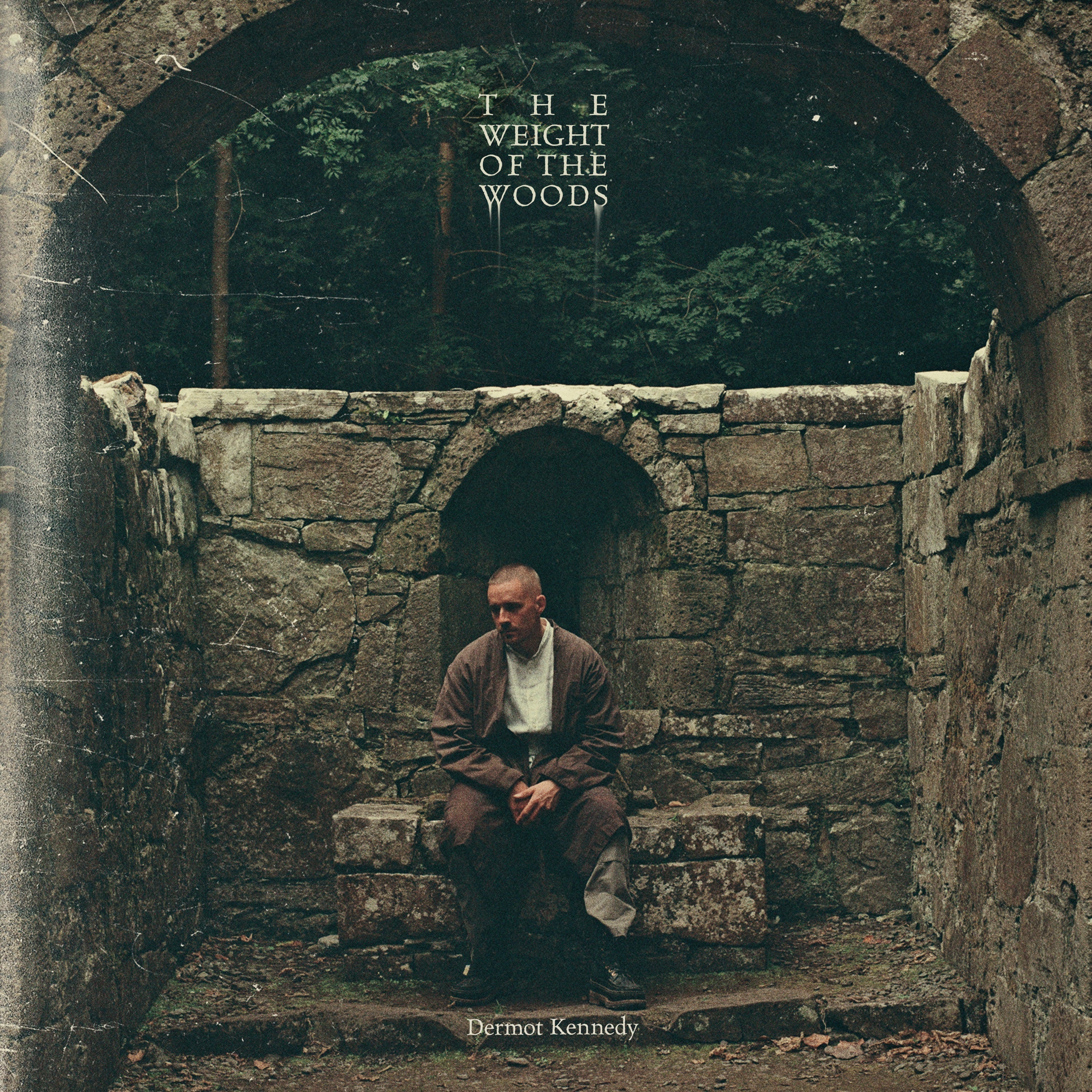 Dermot Kennedy The Weight Of The Woods [Lp]