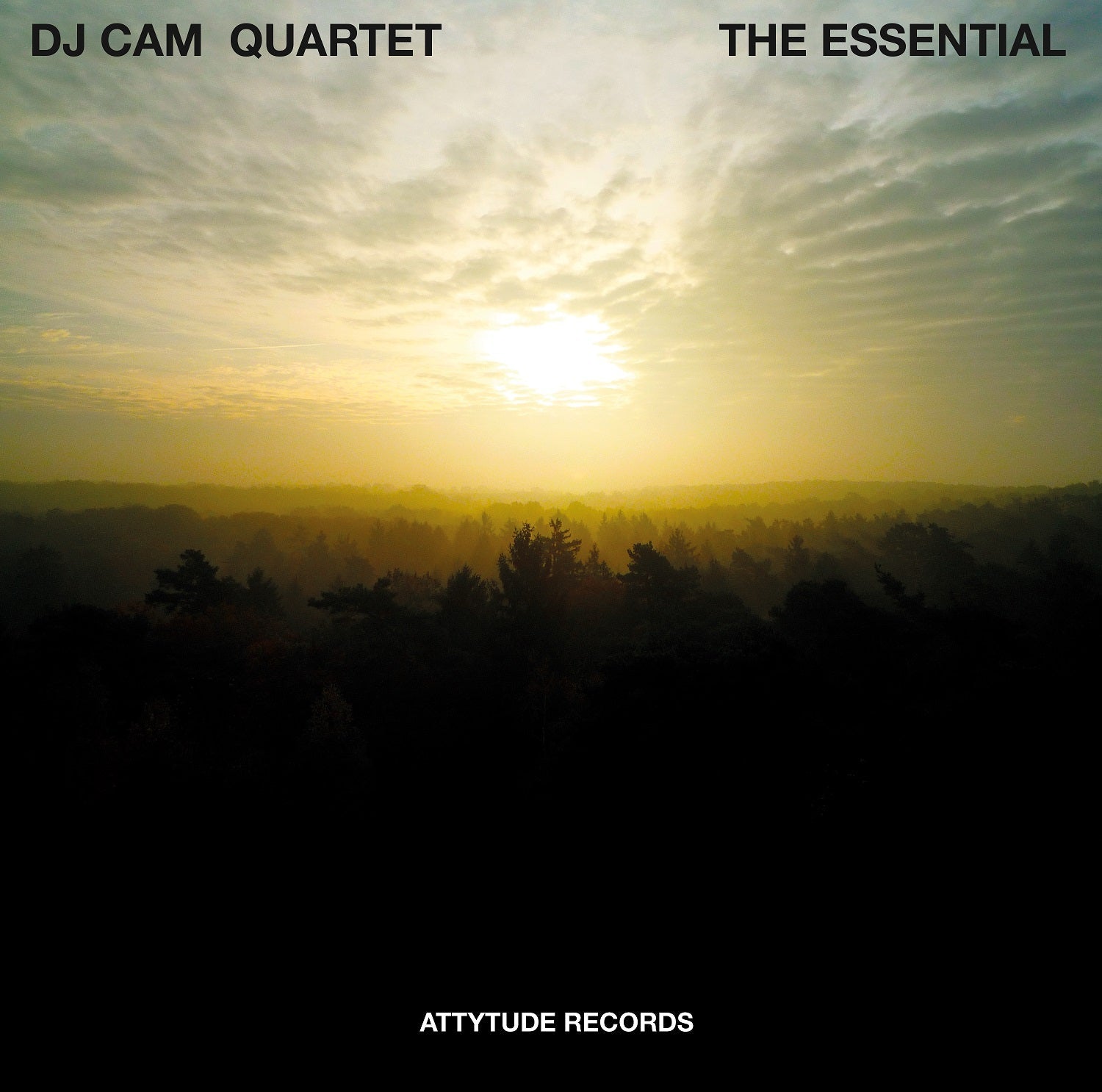 DJ Cam Quartet The Essential