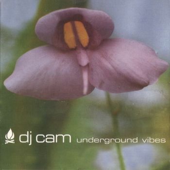 DJ CAM Underground Vibes