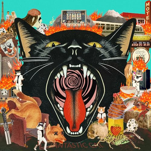 Fantastic Cat Cat Out Of Hell