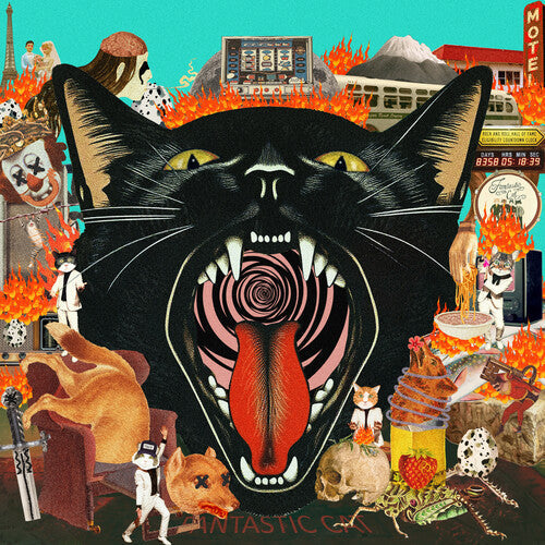 Fantastic Cat Cat Out Of Hell