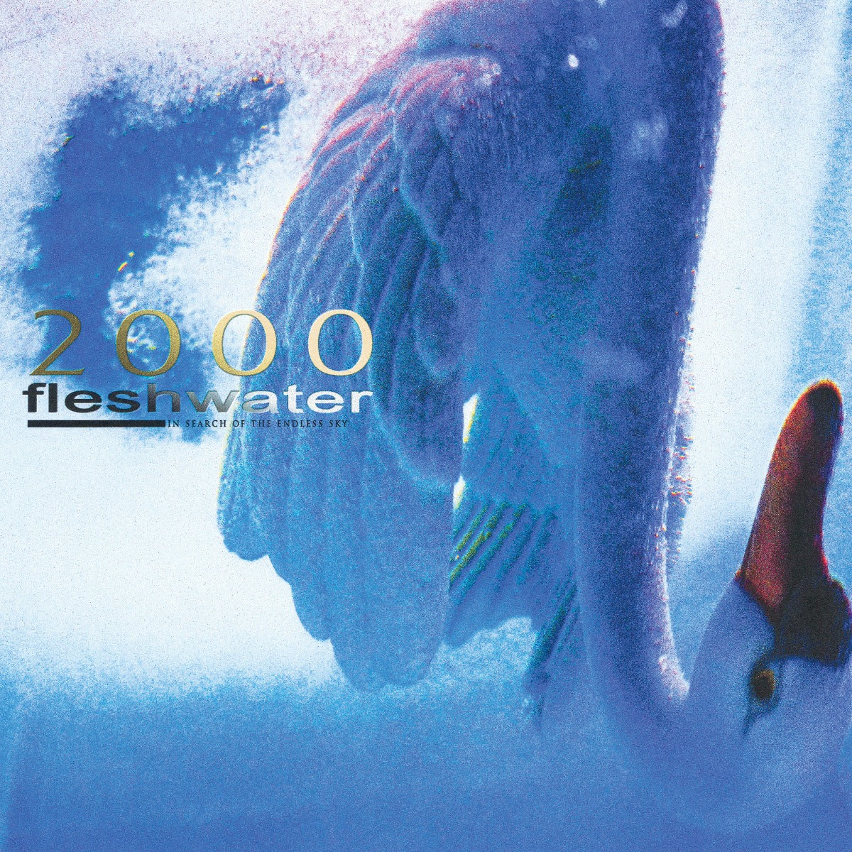 Fleshwater 2000: In Search Of The Endless Sky (Indie Exclusive Fluorescent Pink Vinyl)