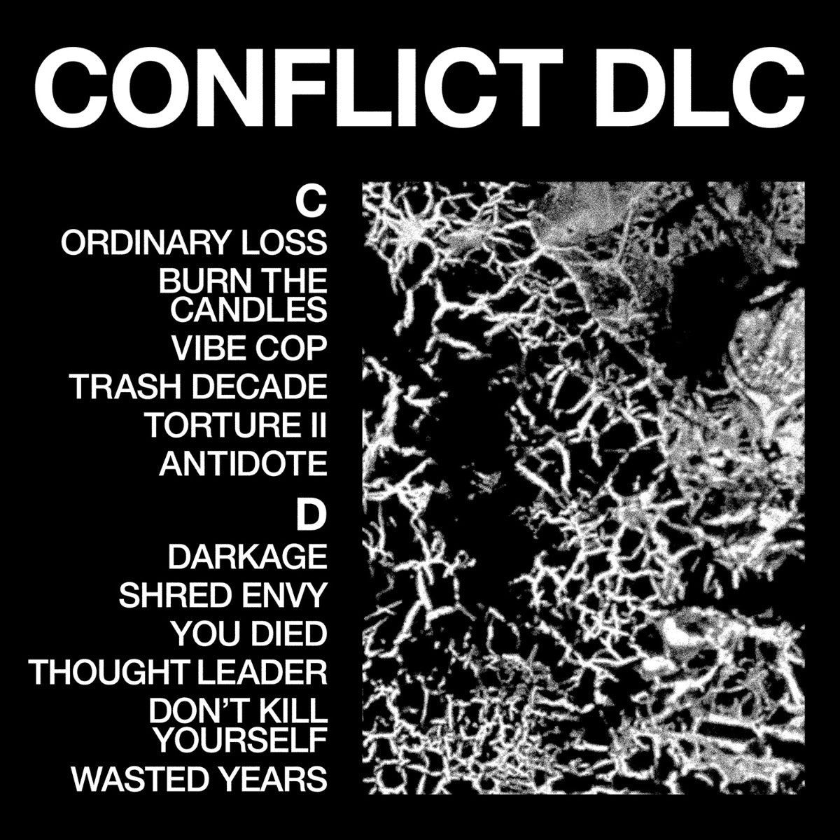 Health Conflict Dlc [LP]
