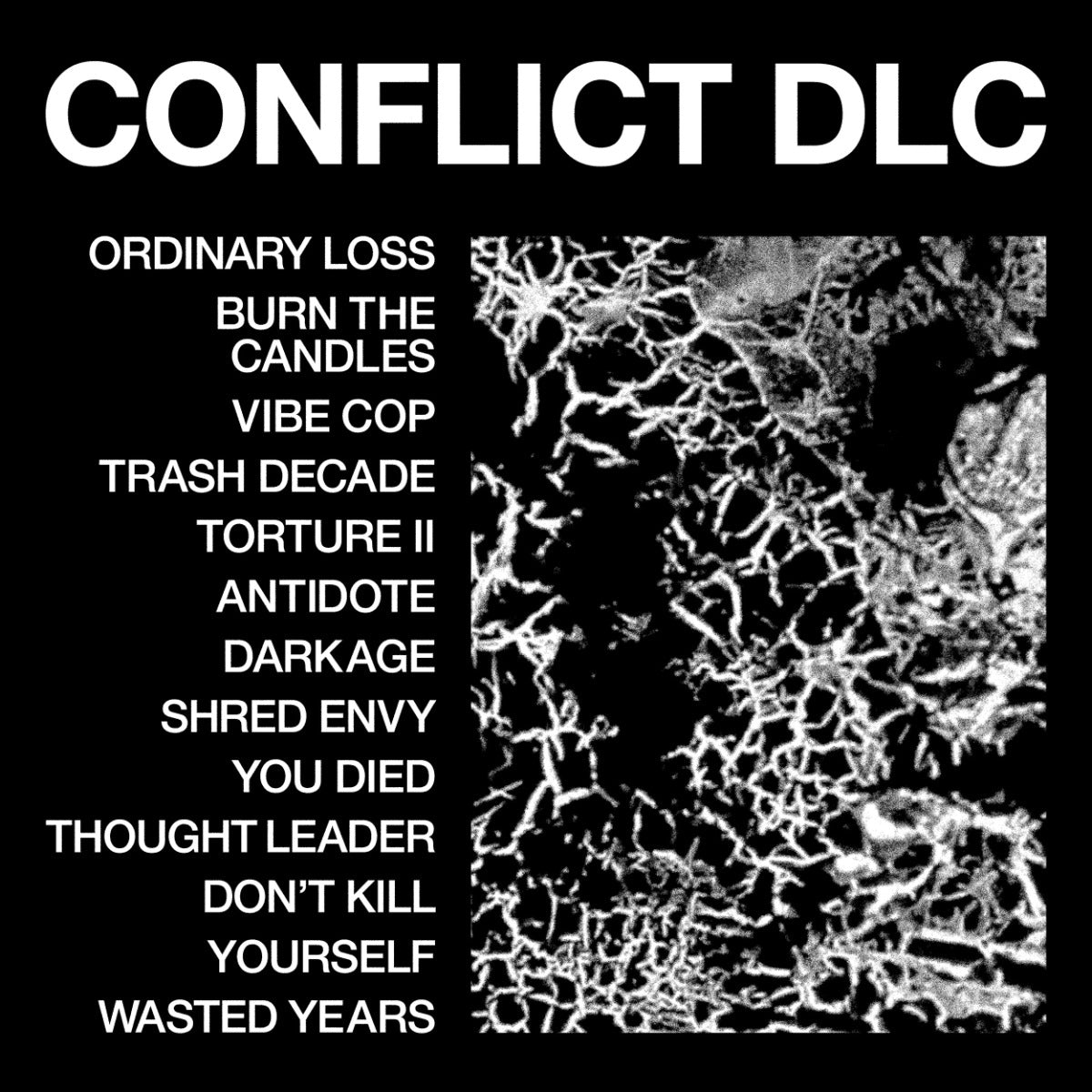 Health Conflict Dlc
