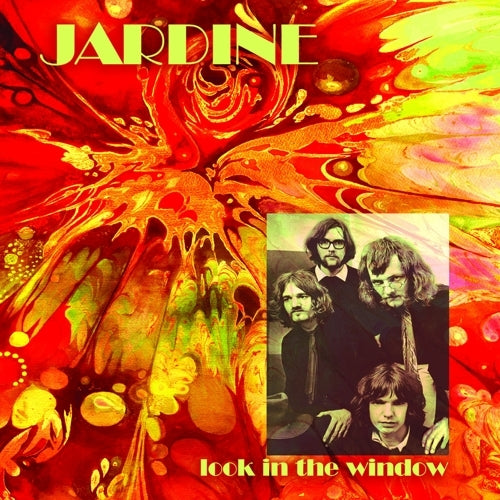 Jardine Look In The Window
