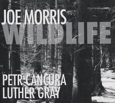 JOE MORRIS Wildlife