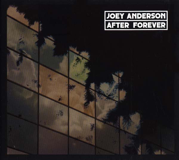 JOEY ANDERSON After Forever
