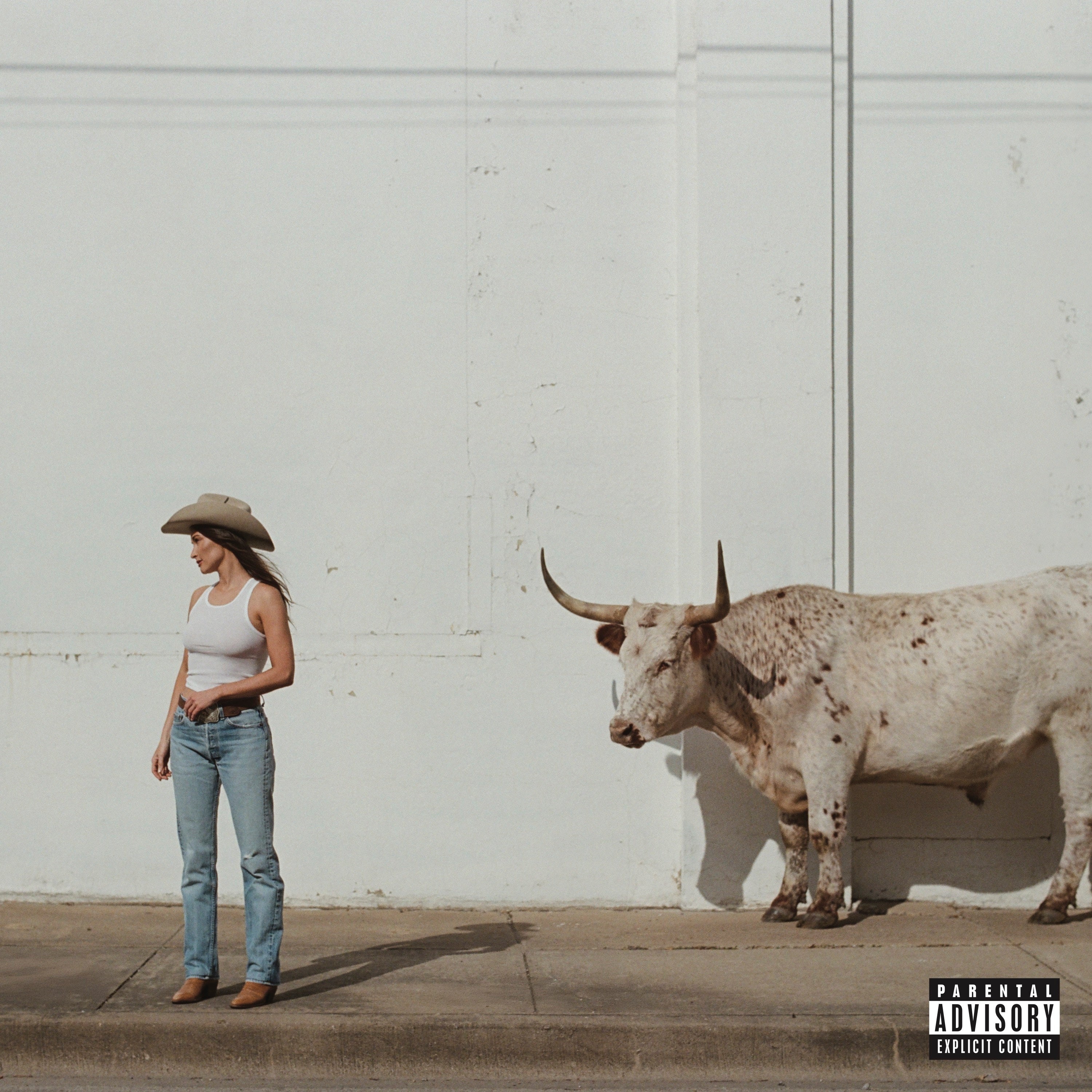 Kacey Musgraves Middle Of Nowhere