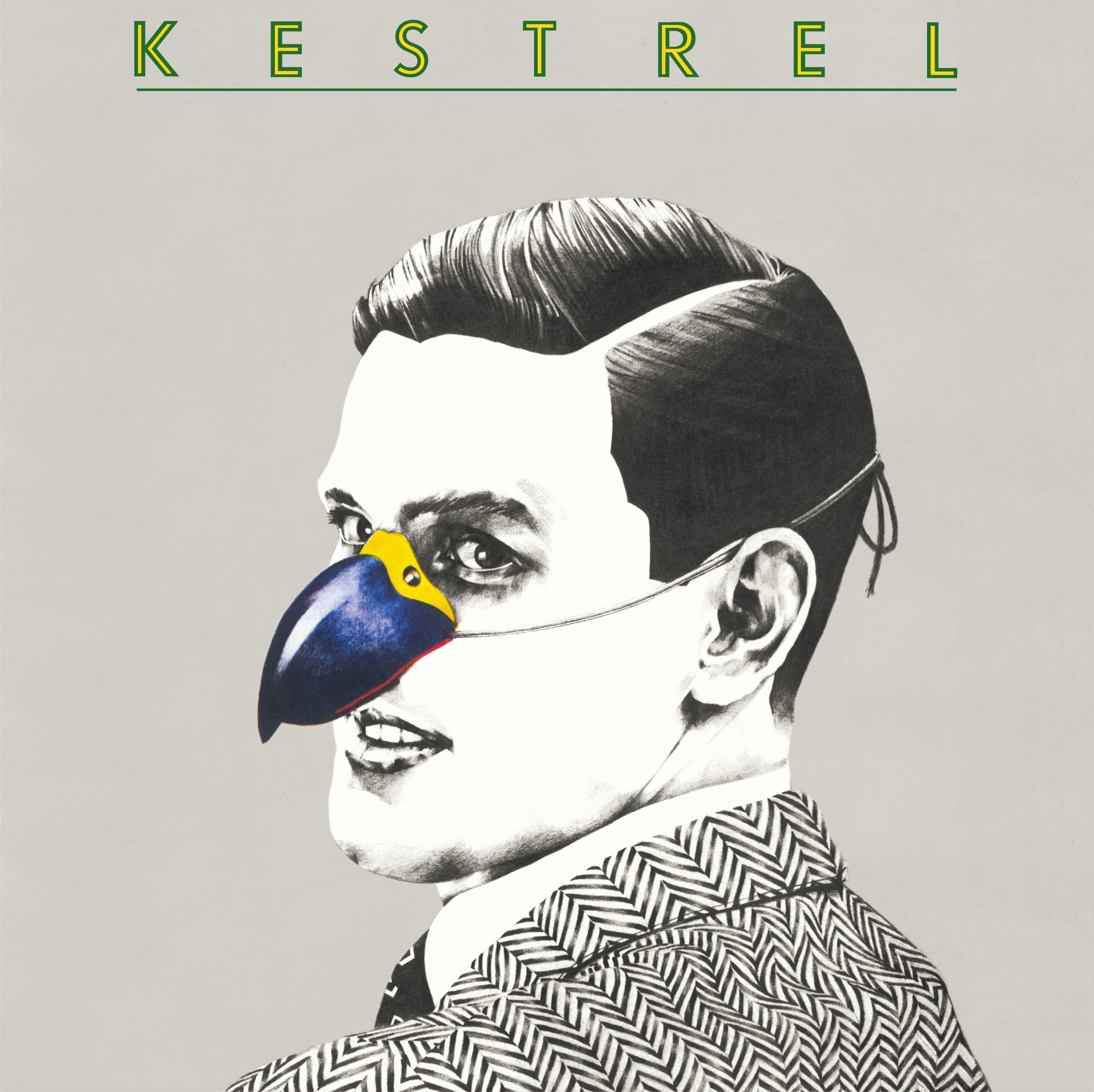 Kestrel Kestrel