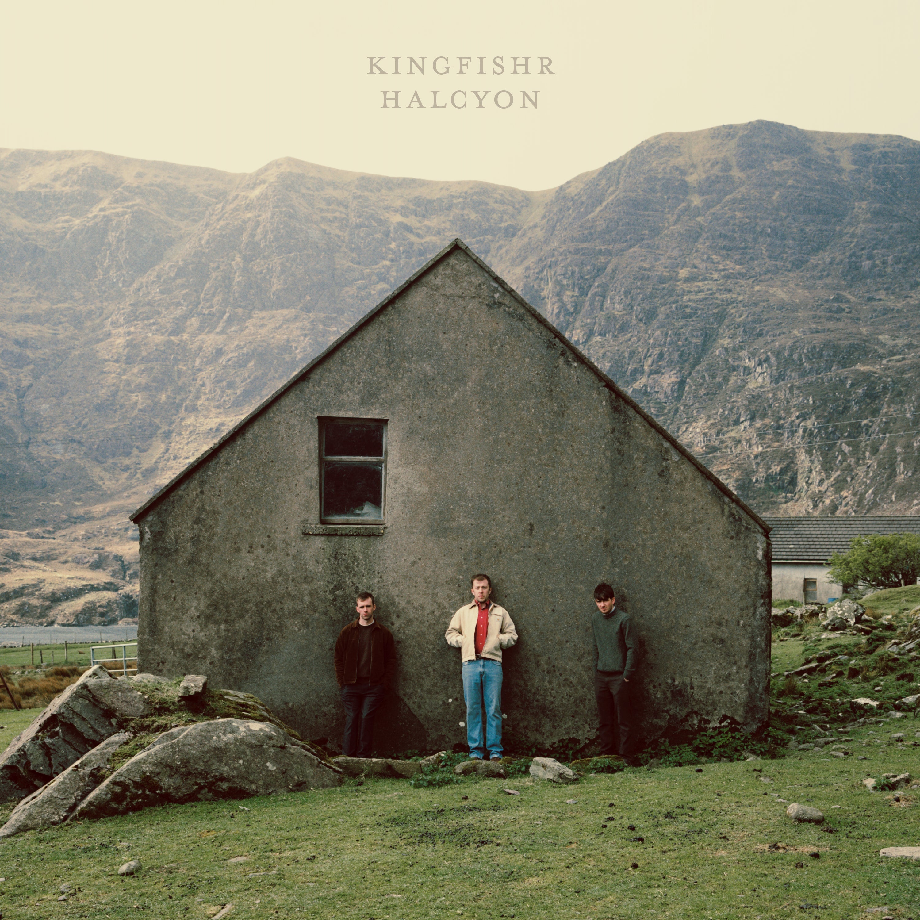 Kingfishr Halcyon