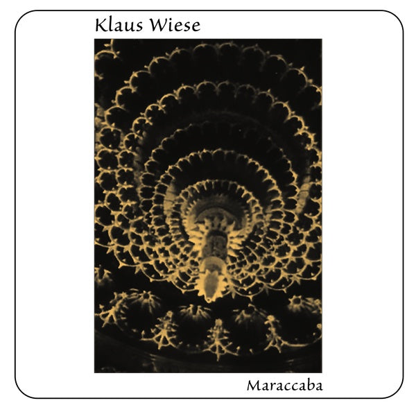 KLAUS WIESE Maraccaba