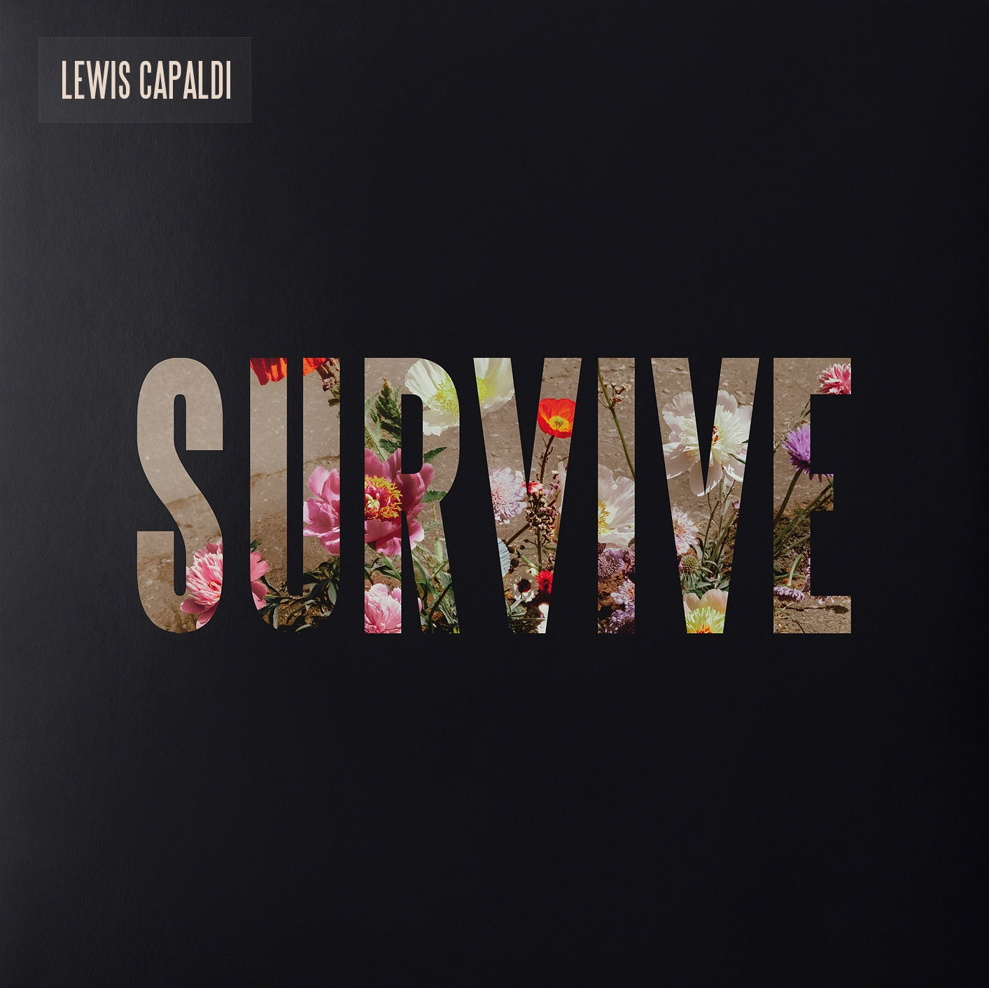 Lewis Capaldi Survive [EP]