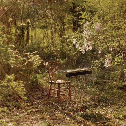 Luke Schneider For Dancing In Quiet Light [12" Ep]
