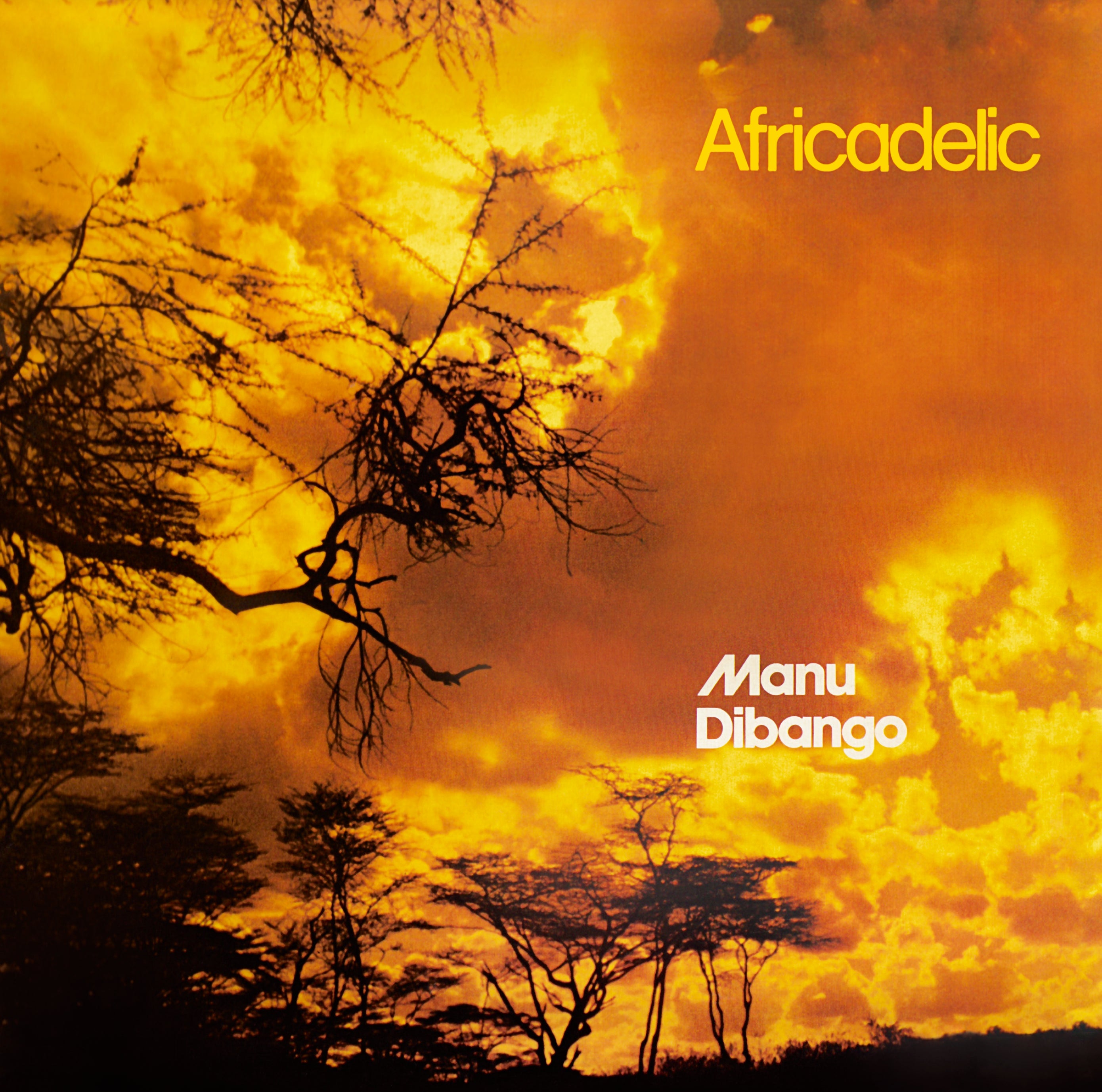 Manu Dibango Africadelic