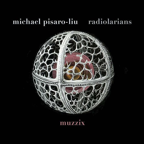 MICHAEL PISARO-LIU Radiolarians