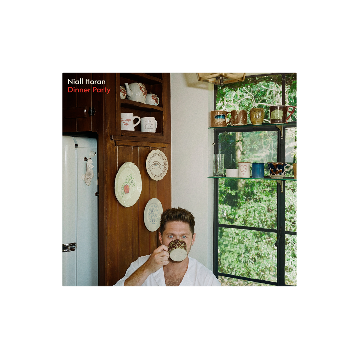 Niall Horan Dinner Party (Signed Insert) [Porcelain LP]