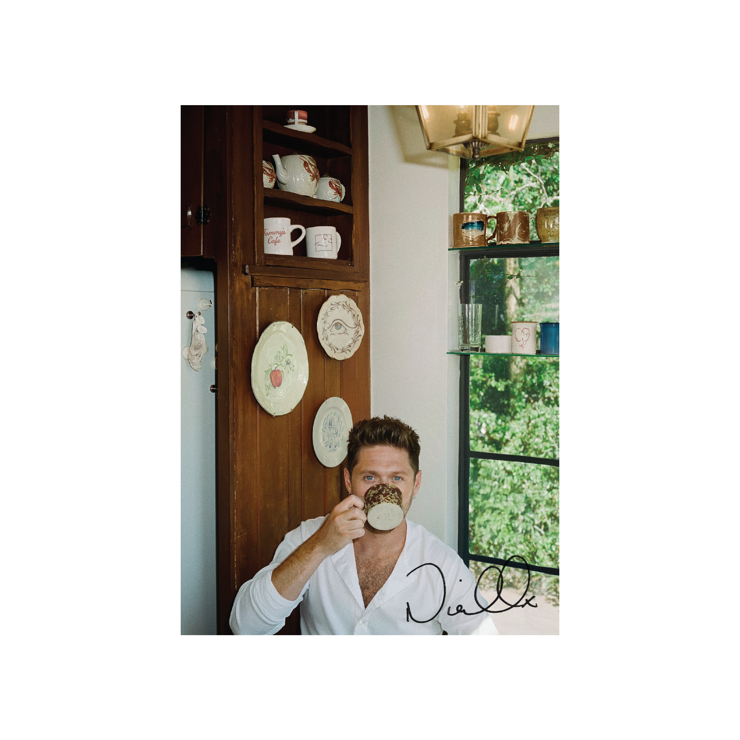 Niall Horan Dinner Party (Signed Insert) [Porcelain LP]