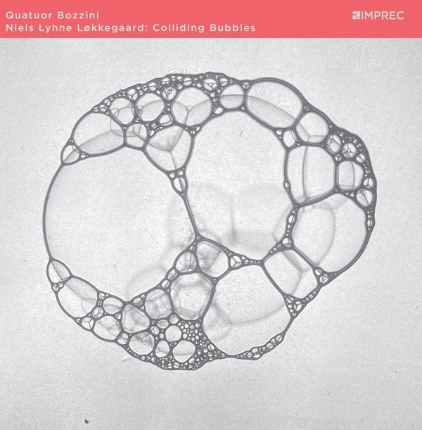 NIELS LYHNE LOKKEGAARD & QUATUOR BOZZINI Colliding Bubbles