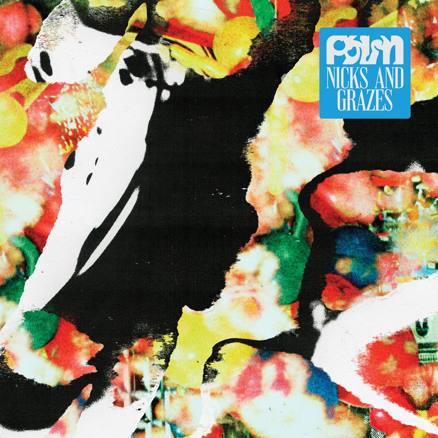 Palm Nicks And Grazes (Indie Exclusive "Dutch Orange" Vinyl)