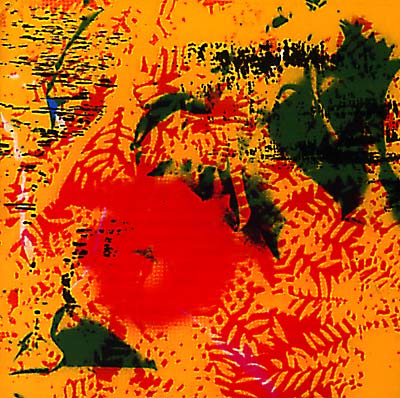 PHILL NIBLOCK YPGPN