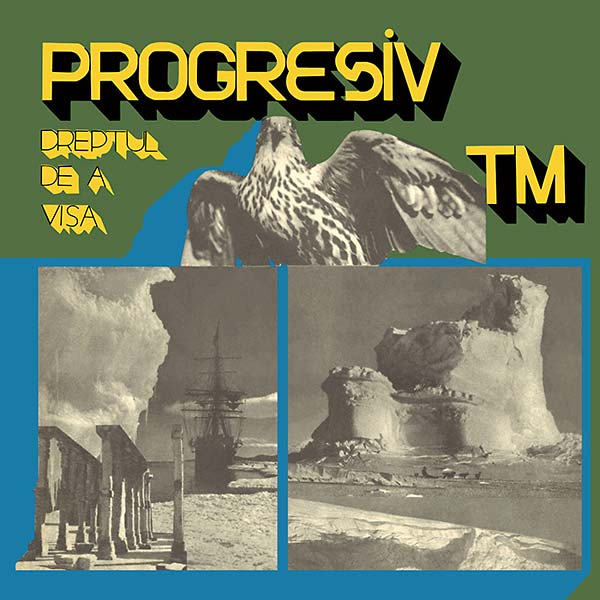 PROGRESIV TM Dreptul De A Visa
