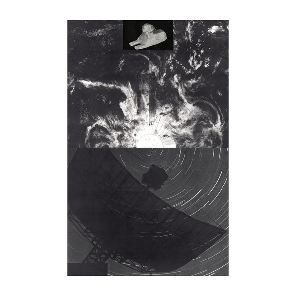Radio Species Compressed Knowledge [Cassette]