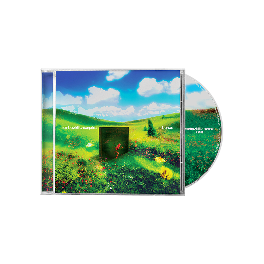 Rainbow Kitten Surprise Bones (CD)