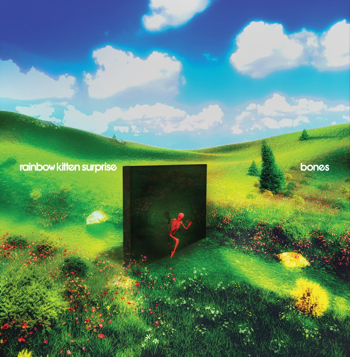 Rainbow Kitten Surprise Bones (CD)