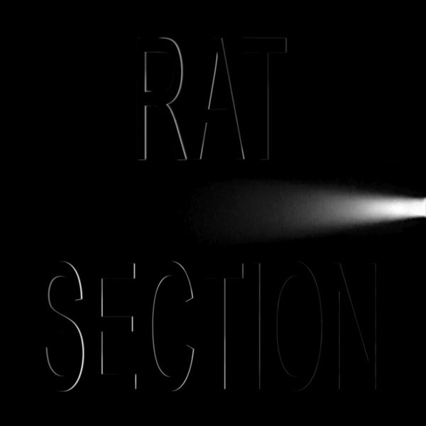 RAT SECTION What Stays In Vegas
