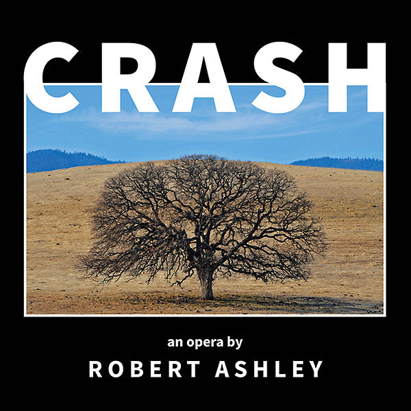 ROBERT ASHLEY Crash