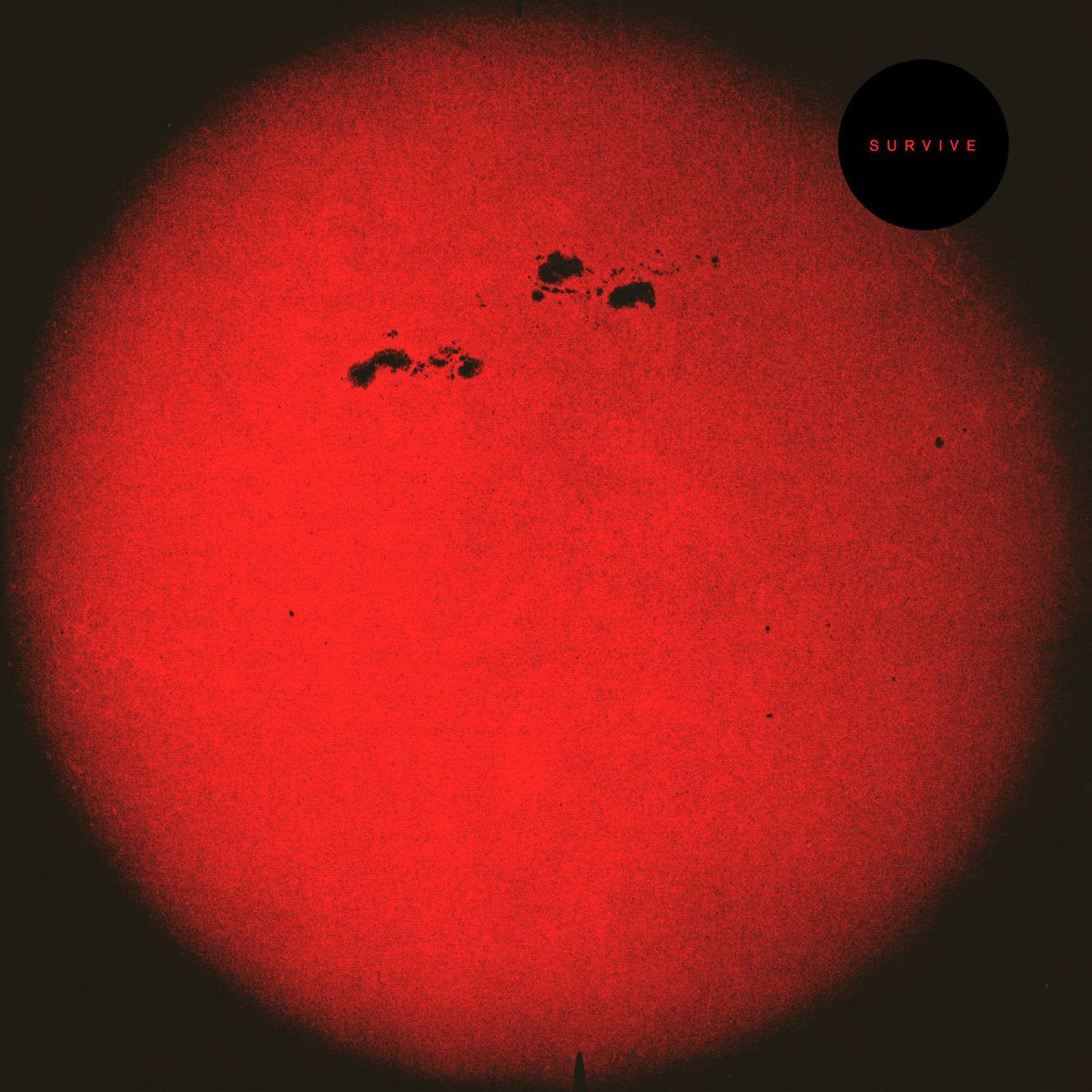S U R V I V E Hd015