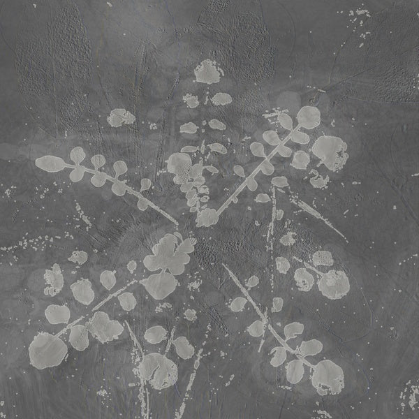 SABLA Music For Melted Floors