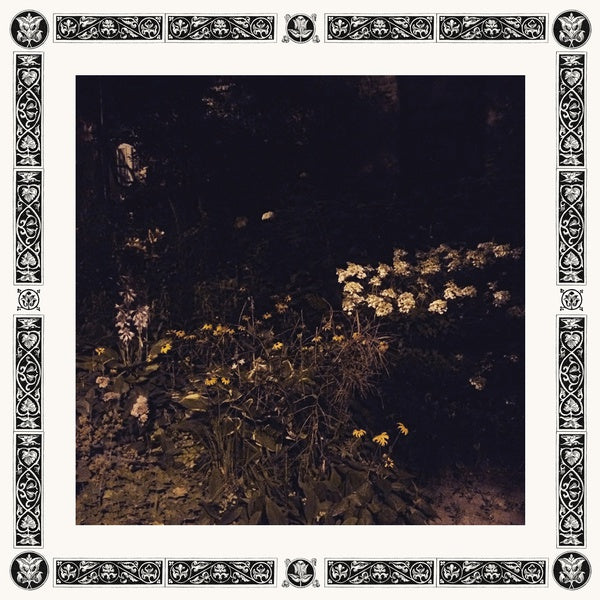 Sarah Davachi Pale Bloom