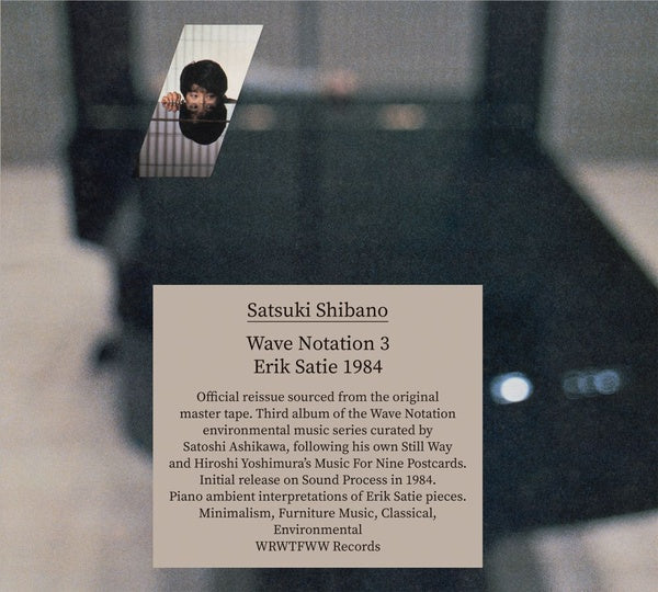 SATSUKI SHIBANO Wave Notation 3: Erik Satie 1984
