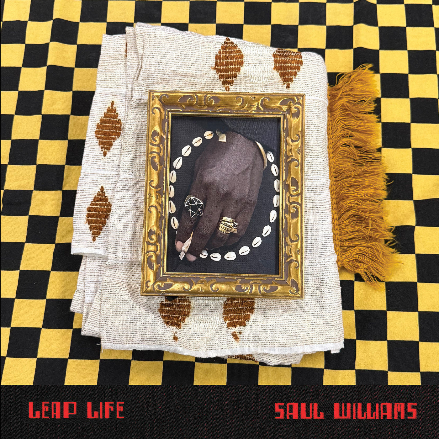 Saul Williams Leap Life