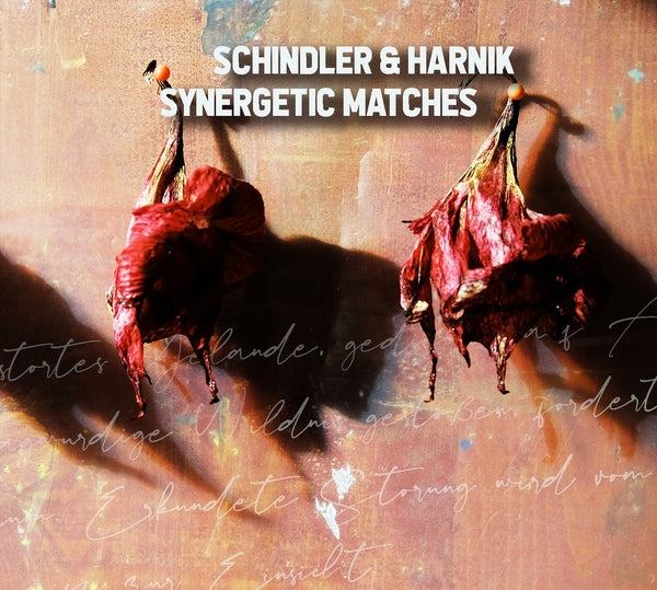 SCHINDLER & HARNIK Synergetic Matches