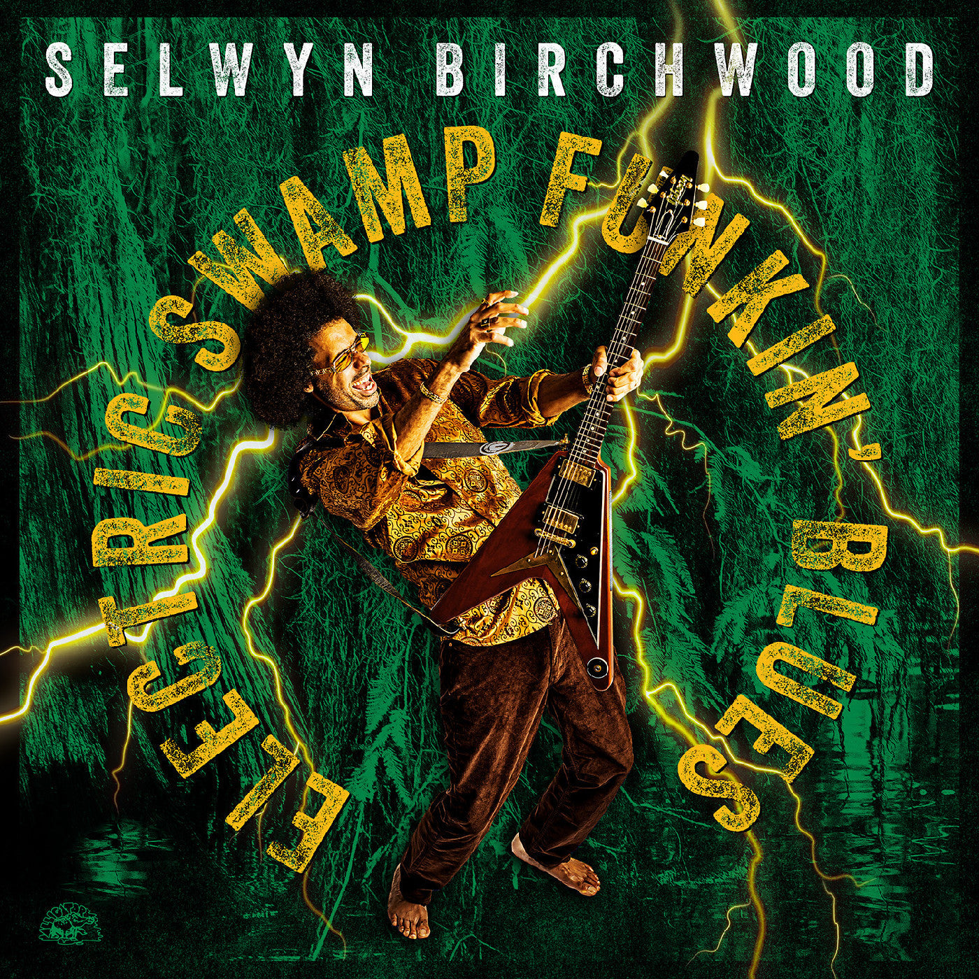 Selwyn Birchwood Electric Swamp Funkin' Blues