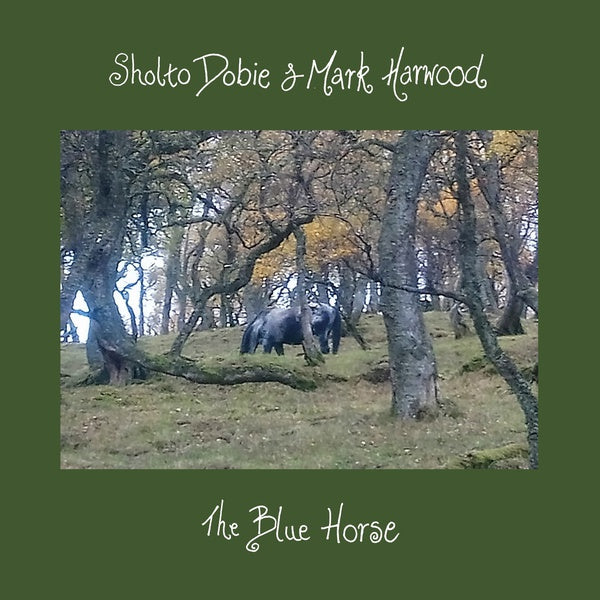 SHOLTO DOBIE & MARK HARWOOD The Blue Horse