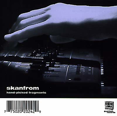 SKANFROM Hand-Picked Fragments