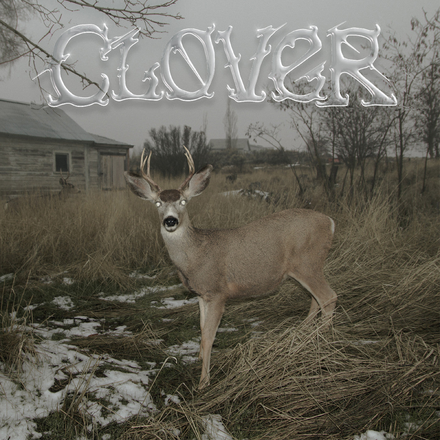 Sleeper'S Bell Clover (White Cassette)