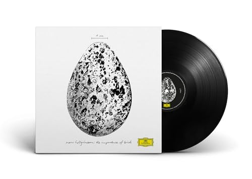 Snorri Hallgromsson The Importance Of Birds [12" Ep]