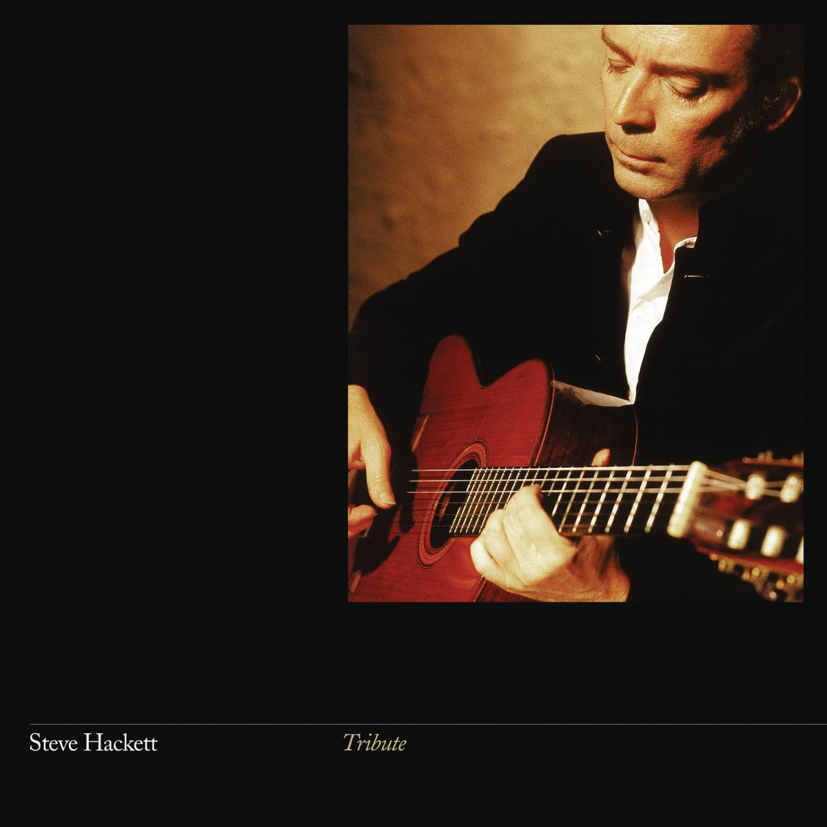 Steve Hackett Tribute (Gatefold LP Jacket, Reissue)
