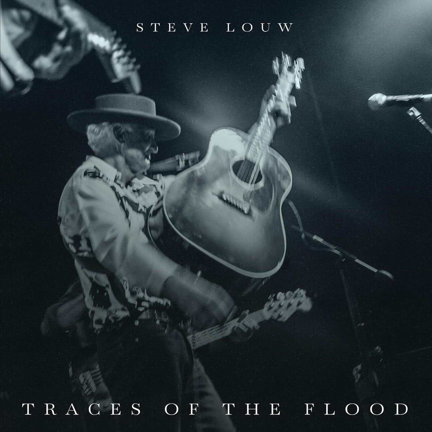 Steve Louw Traces Of The Flood