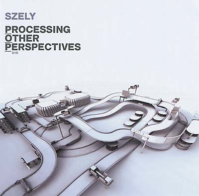 SZELY Processing Other Perspectives