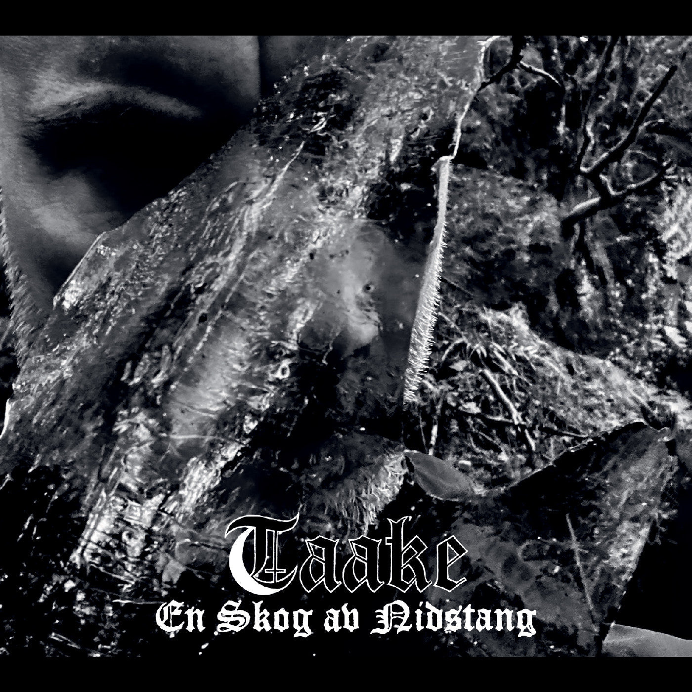 Taake En Skog Av Nidstang