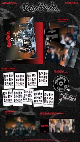 &TEAM Go In Blind [Limited Edition] [Cd Single+Book]