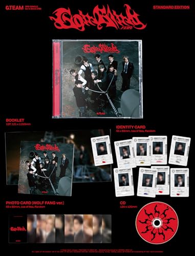 &TEAM Go In Blind [Standard Edition] [Cd Single]