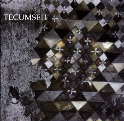 TECUMSEH Avalanche and Inundation