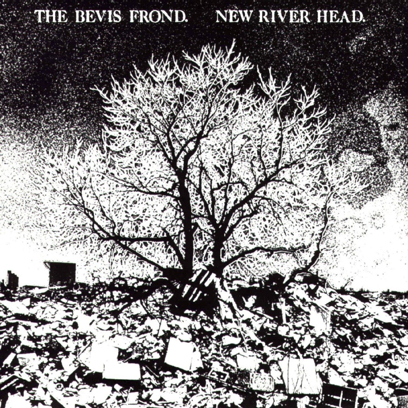 The Bevis Frond New River Head