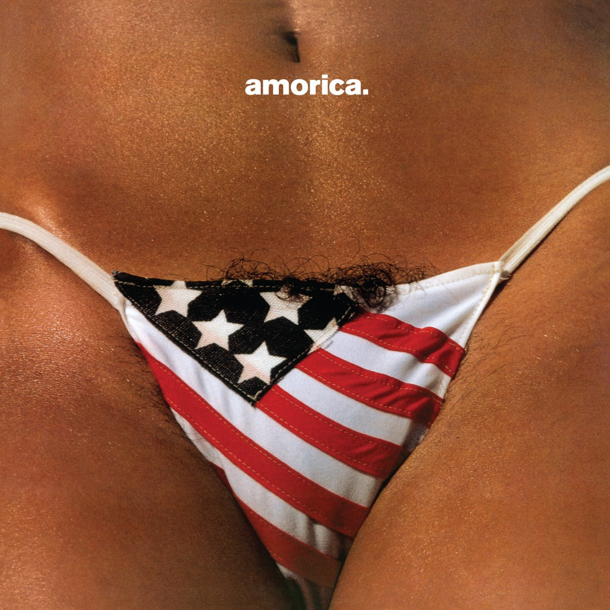 The Black Crowes Amorica.